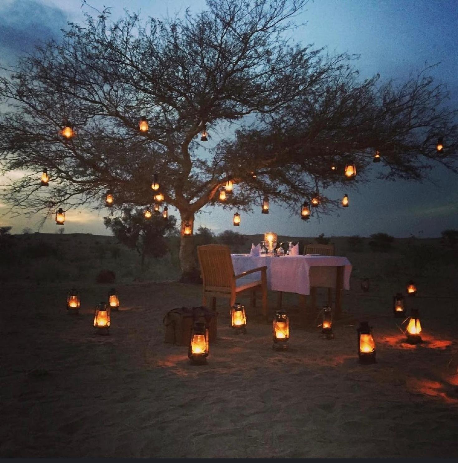 Wild Heritage Resort & Camp Jaisalmer Luaran gambar